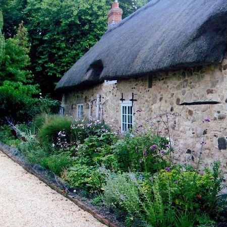 Afton Thatch: Beautiful Thatched Family Cottage Freshwater Exterior foto